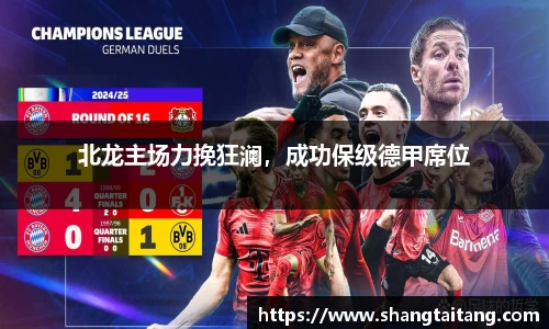 北龙主场力挽狂澜，成功保级德甲席位