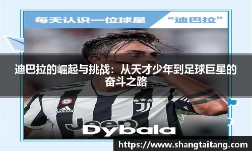 皇冠体育官方网站