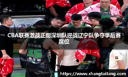 CBA联赛激战正酣深圳队迎战辽宁队争夺季后赛席位